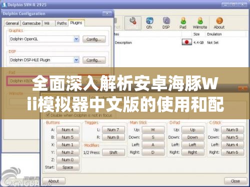 全面深入解析安卓海豚Wii模拟器中文版的使用和配置方法