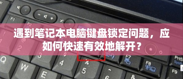 遇到笔记本电脑键盘锁定问题，应如何快速有效地解开？